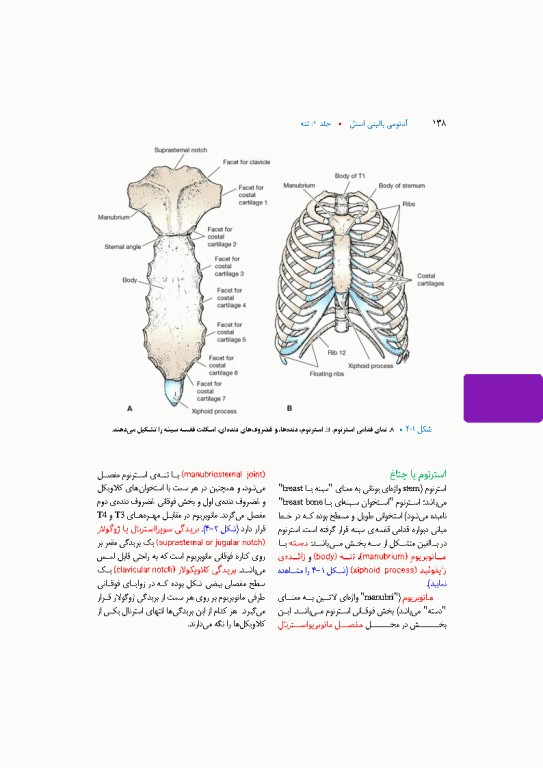 آناتومی بالینی اسنل 2025 جلد اول تنه