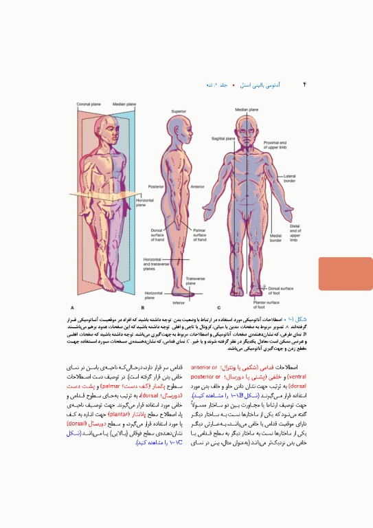 آناتومی بالینی اسنل 2025 جلد اول تنه