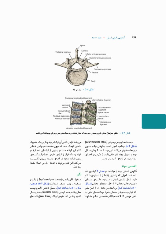 آناتومی بالینی اسنل 2025 جلد اول تنه