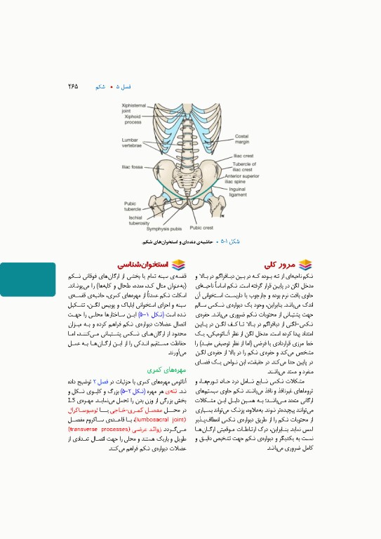 آناتومی بالینی اسنل 2025 جلد اول تنه