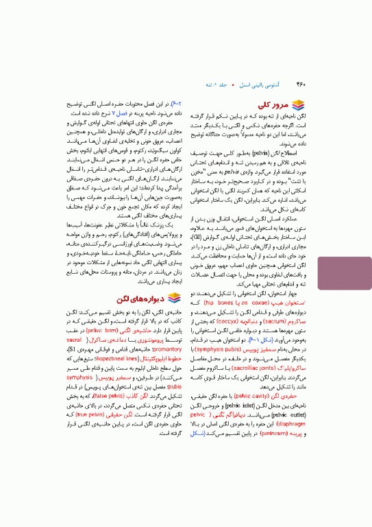 آناتومی بالینی اسنل 2025 جلد اول تنه