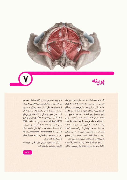 آناتومی بالینی اسنل 2025 جلد اول تنه