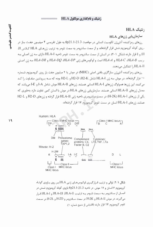 AGK آنتی ژن لکوسیت انسان (HLA) از پایه تا بالین