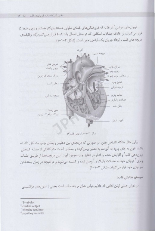 بیماری های قلب و عروق آرمین عطار نشر دانشگاه شیراز