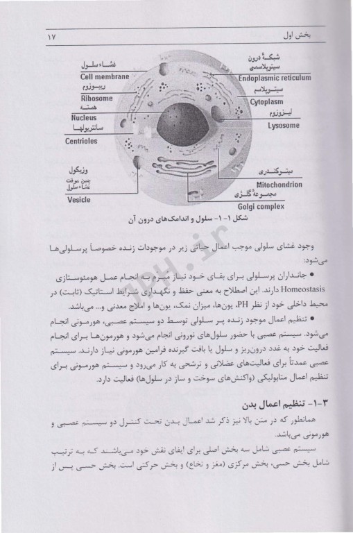 آناتومی و فیزیولوژی بدن