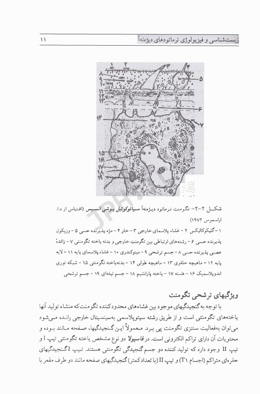 کرم‌شناسی دامپزشکی جلد اول ترماتودها