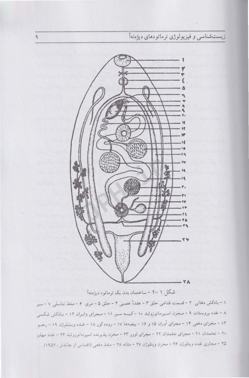 کرم‌شناسی دامپزشکی جلد اول ترماتودها