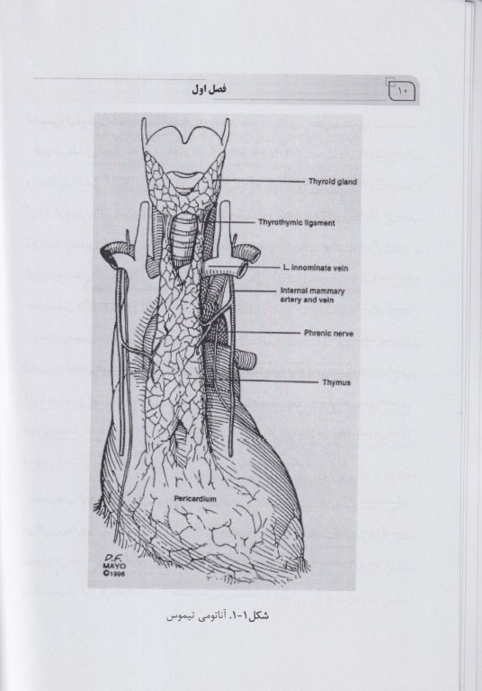 مروری جامع بر بیماری میاستنی گراویس ویژه رشته‌های علوم پایه و تخصصی پزشکی