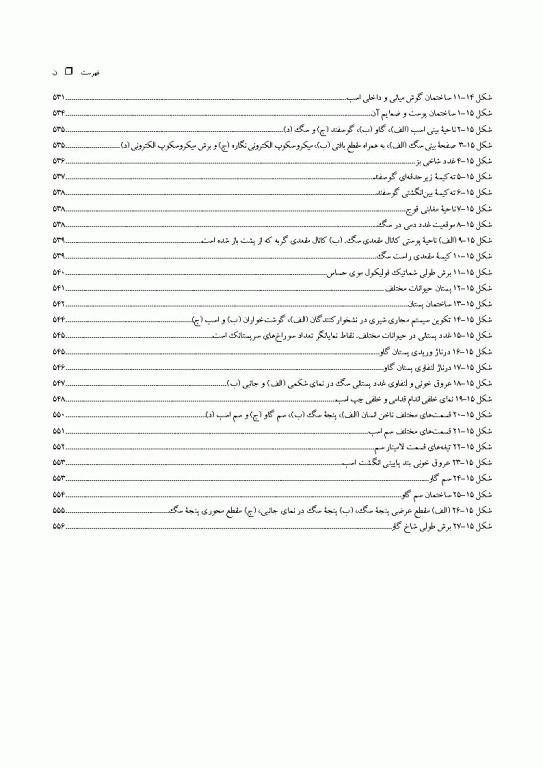 آناتومی جامع دامپزشکی