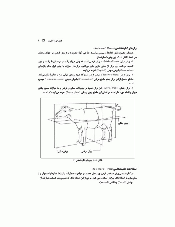 آناتومی عمومی دامپزشکی