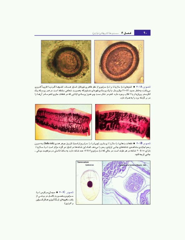 مبانی انگل شناسی جلد2