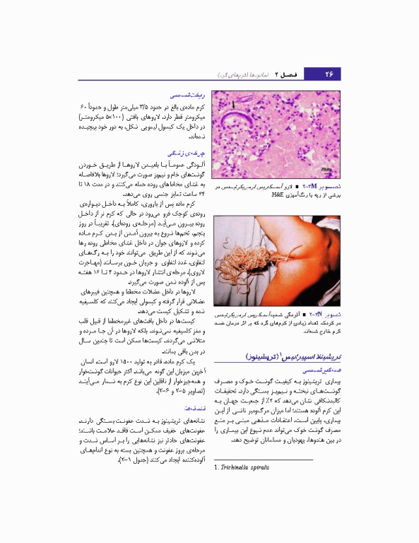 مبانی انگل شناسی جلد2