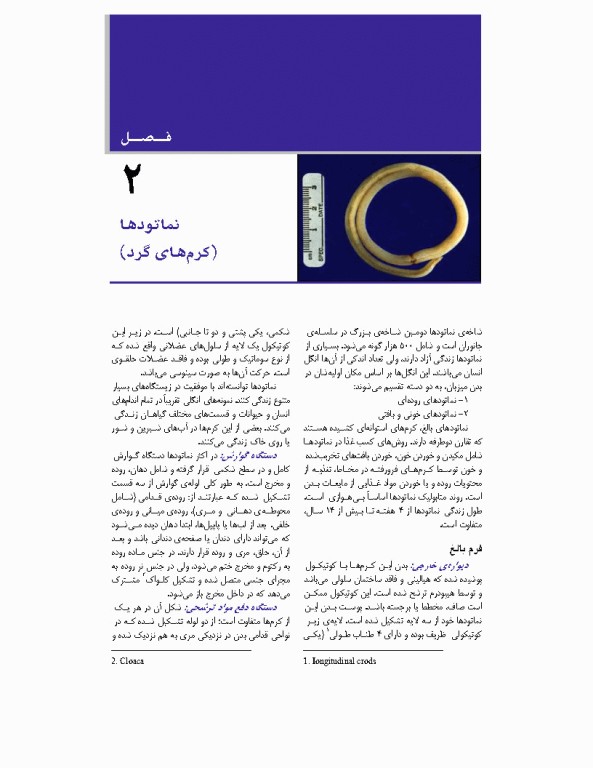 مبانی انگل شناسی جلد2