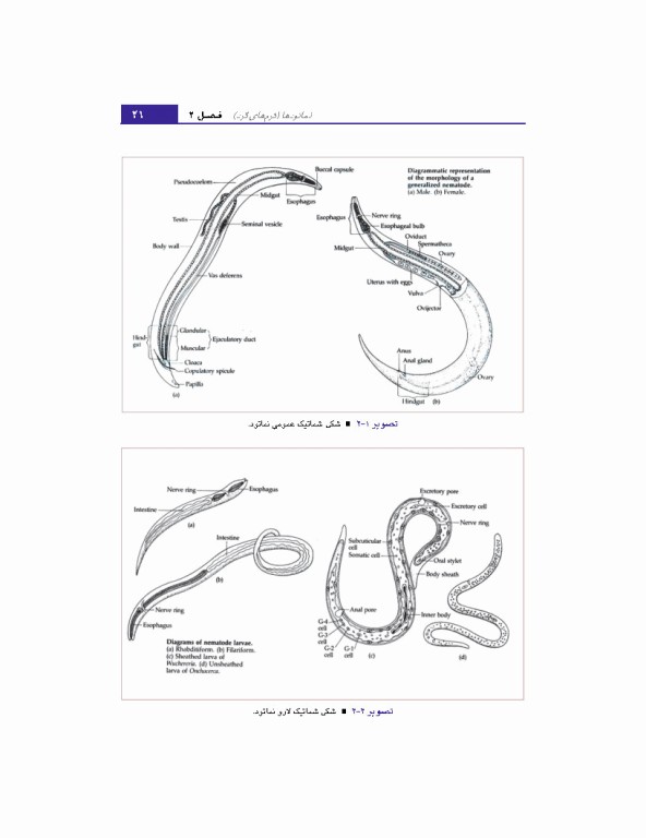 مبانی انگل شناسی جلد2