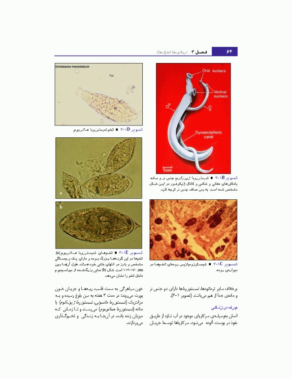 مبانی انگل شناسی جلد2