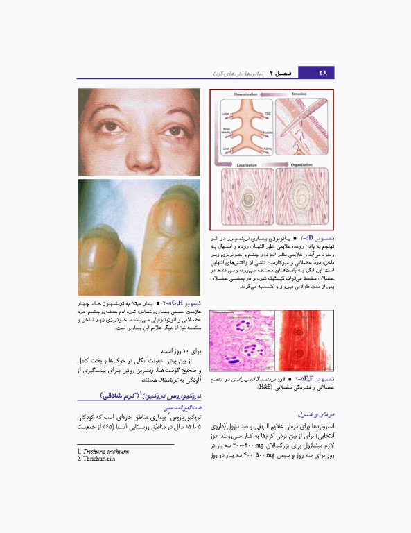 مبانی انگل شناسی جلد2