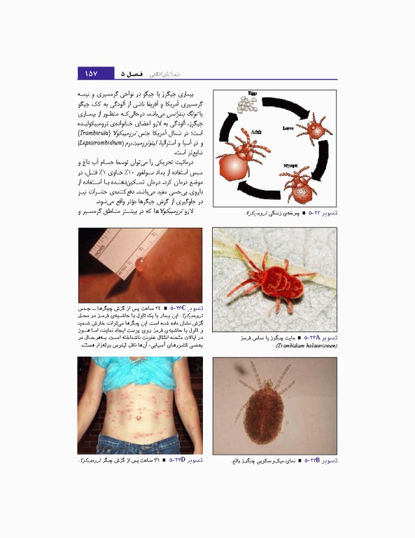 مبانی انگل شناسی جلد2