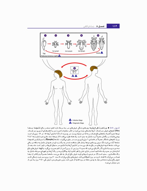 مبانی انگل شناسی جلد2