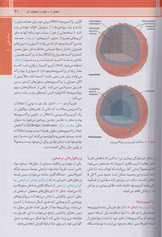 فیزیولوژی گایتون و هال 2026 ترجمه دکتر حائری روحانی جلد1 شومیز