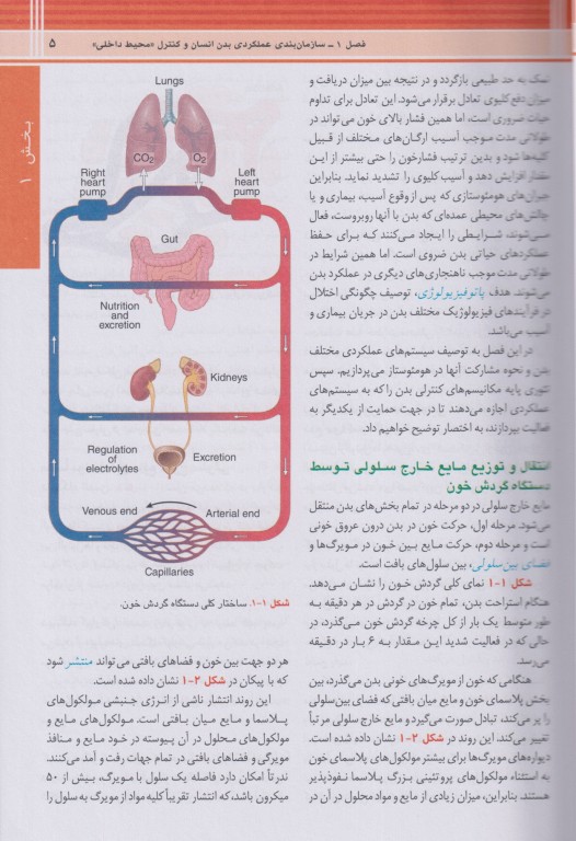 فیزیولوژی گایتون و هال 2026 ترجمه دکتر حائری روحانی جلد1 شومیز