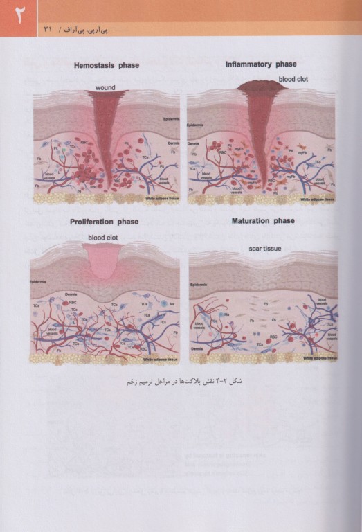 مجموعه آموزشی SKILLS آموزش پی آرپی اف درمان زخم، ارتوپدی و دندان‌پزشکی