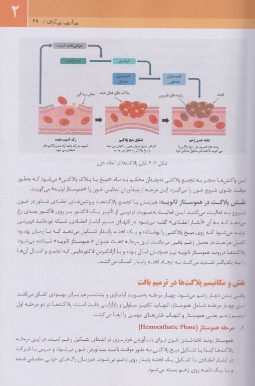 مجموعه آموزشی SKILLS آموزش پی آرپی اف در پوست، مو و زیبایی