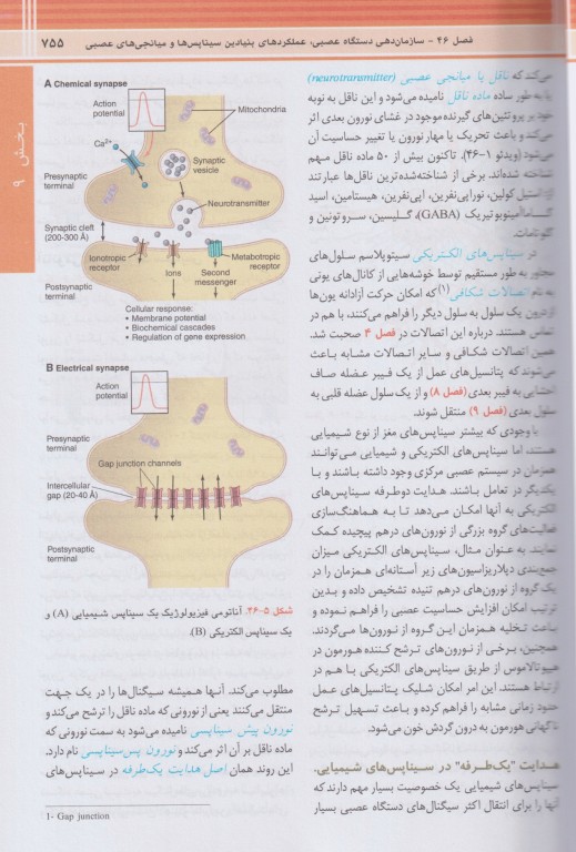 فیزیولوژی گایتون و هال 2026 ترجمه دکتر حائری روحانی جلد2 شومیز
