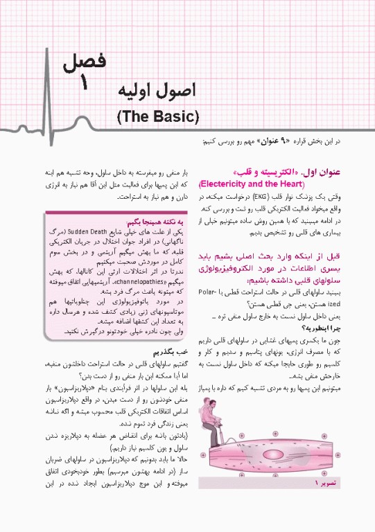 صفر تا صد تفسیر نوار قلب EKG به زبان ساده و خودمانی