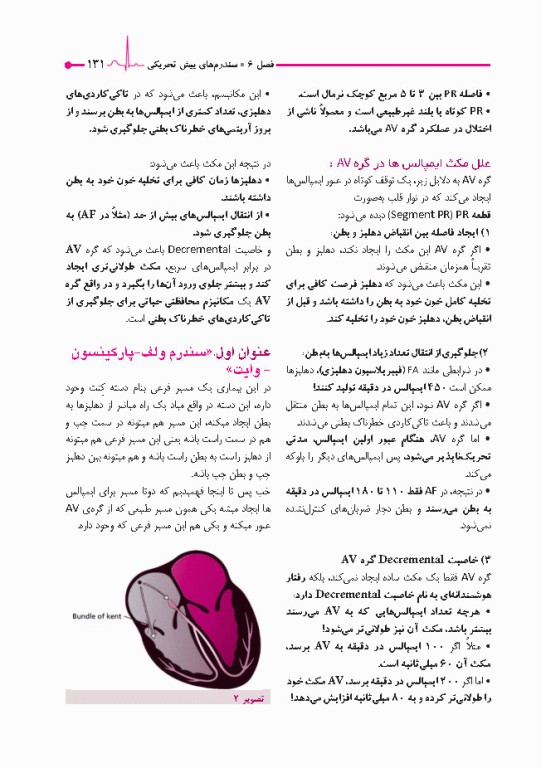 صفر تا صد تفسیر نوار قلب EKG به زبان ساده و خودمانی