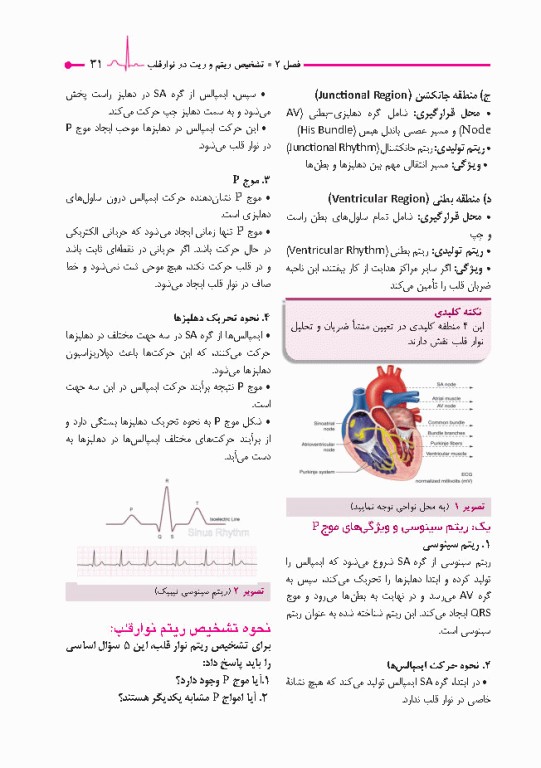 صفر تا صد تفسیر نوار قلب EKG به زبان ساده و خودمانی