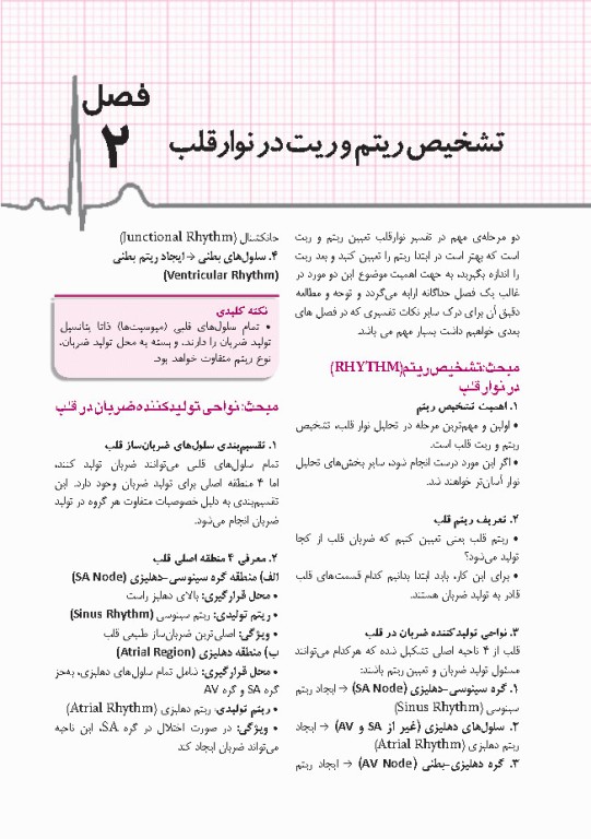صفر تا صد تفسیر نوار قلب EKG به زبان ساده و خودمانی