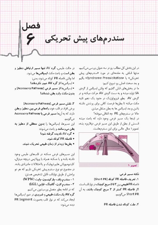 صفر تا صد تفسیر نوار قلب EKG به زبان ساده و خودمانی