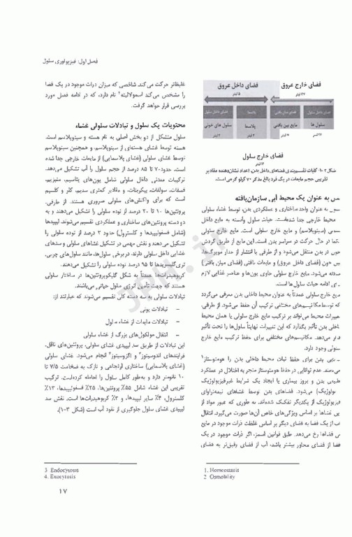 فیزیولوژی انسانی