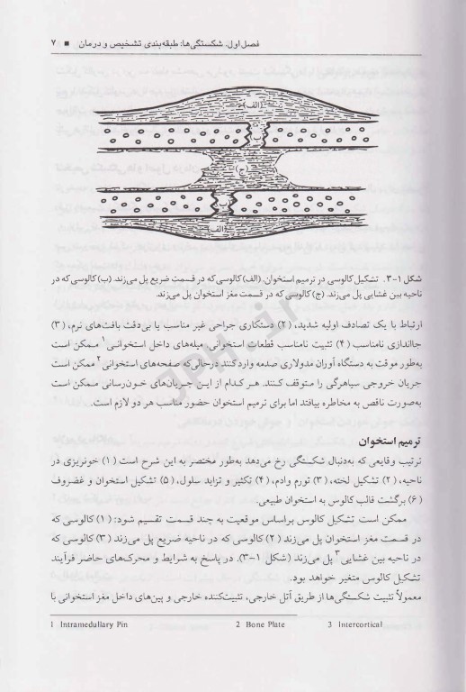 راهنمای ارتوپدی و درمان شکستگی در دام‌های کوچک