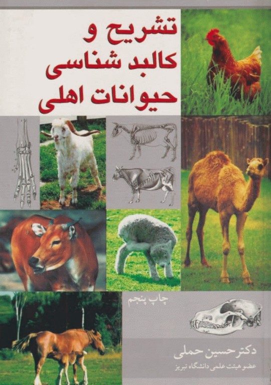 تشریح و کالبدشناسی حیوانات اهلی