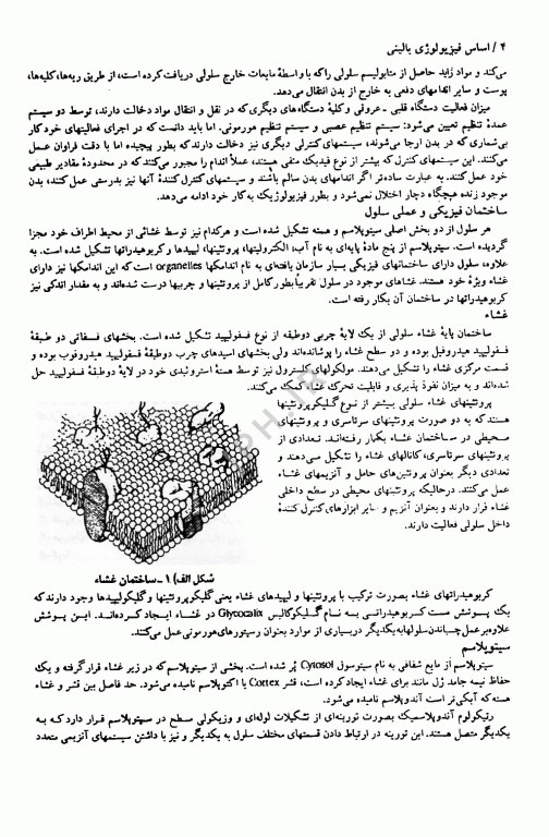 اساس فیزیولوژی بالینی گرین ترجمه دکتر فرخ شادان