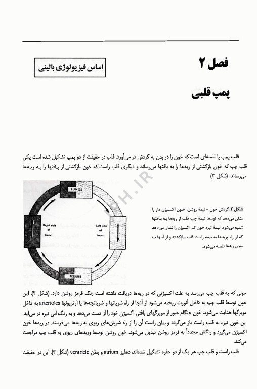 اساس فیزیولوژی بالینی گرین ترجمه دکتر فرخ شادان