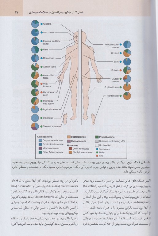 میکروب‌شناسی مورای 2026 باکتری‌شناسی دکتر عباس بهادر