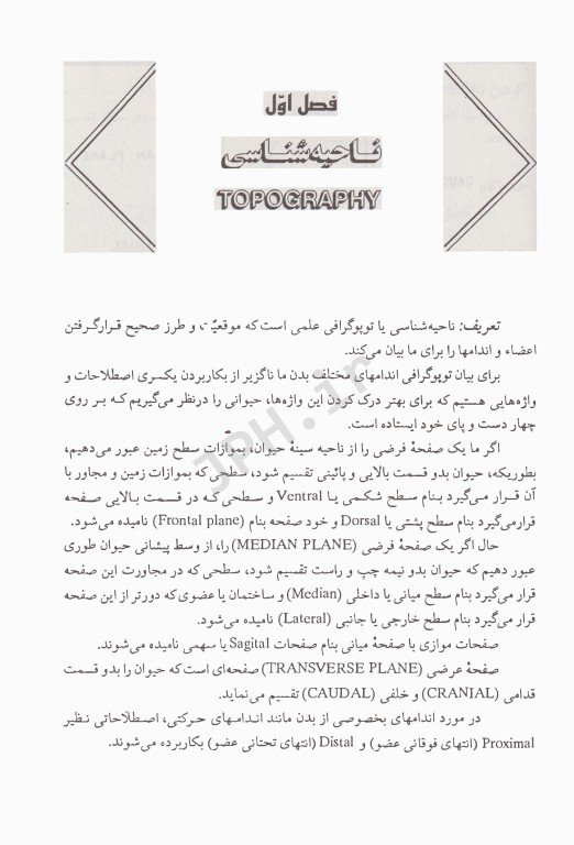 تشریح و کالبدشناسی حیوانات اهلی