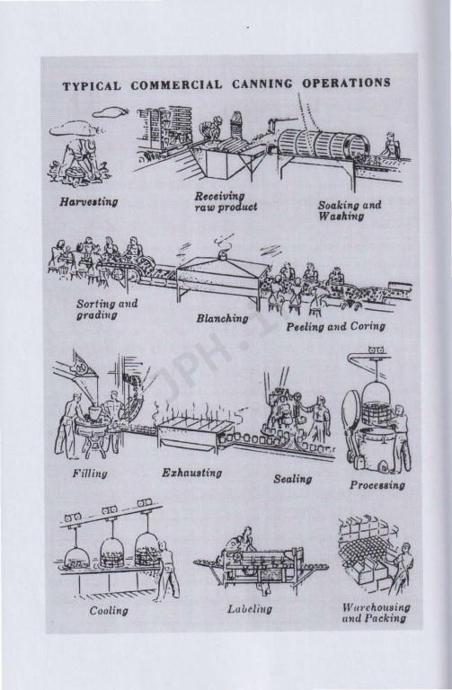 کنسروسازی مهندس رسول پایان