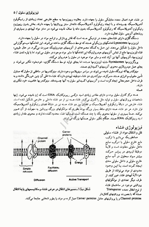 اساس فیزیولوژی بالینی گرین ترجمه دکتر فرخ شادان