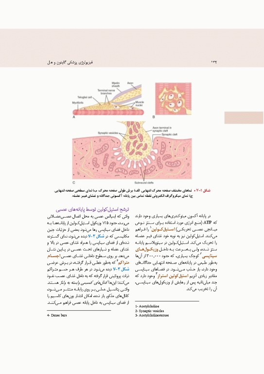 فیزیولوژی پزشکی گایتون و هال 2026 جلد اول