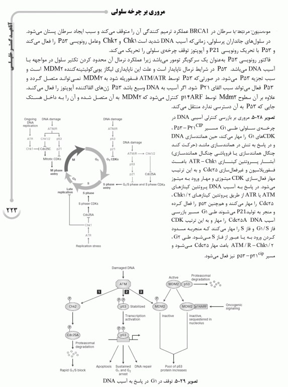 ضروریات AGK سلولی و مولکولی ویژه ارشد و دکتری وزارت بهداشت، وزارت علوم و دانشگاه آزاد