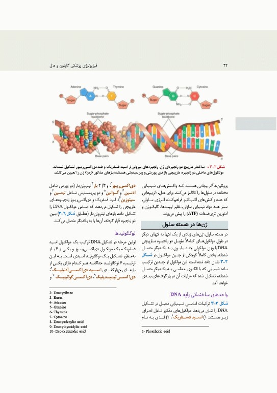 فیزیولوژی پزشکی گایتون و هال 2026 جلد اول
