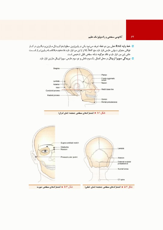 آناتومی سطحی و رادیولوژیک هلیم