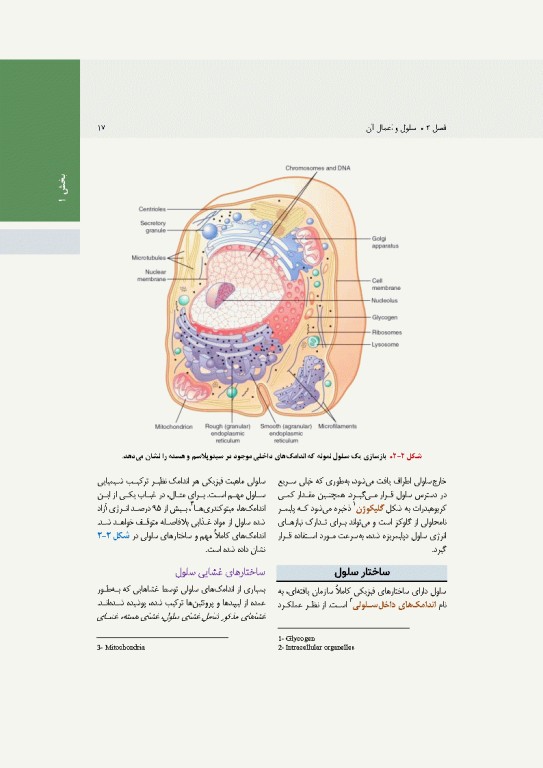 فیزیولوژی پزشکی گایتون و هال 2026 جلد اول
