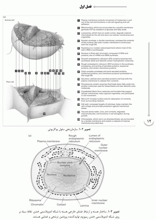 شیمی آلی مک موری جلد دوم