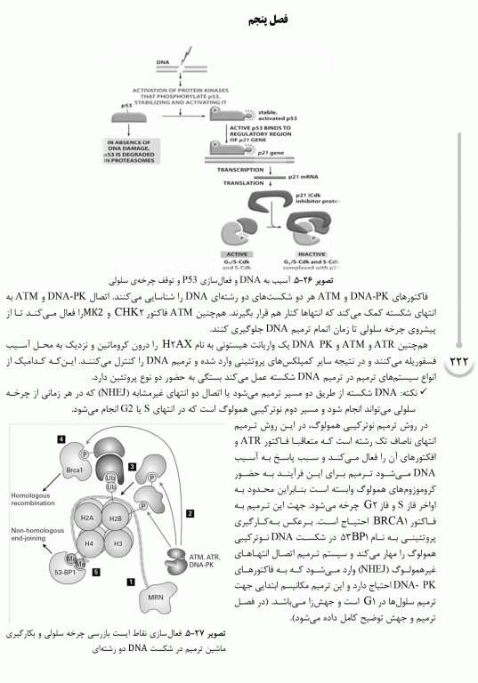 شیمی آلی مک موری جلد دوم
