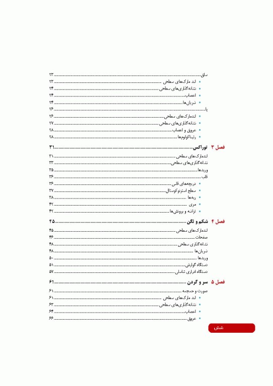 آناتومی سطحی و رادیولوژیک هلیم