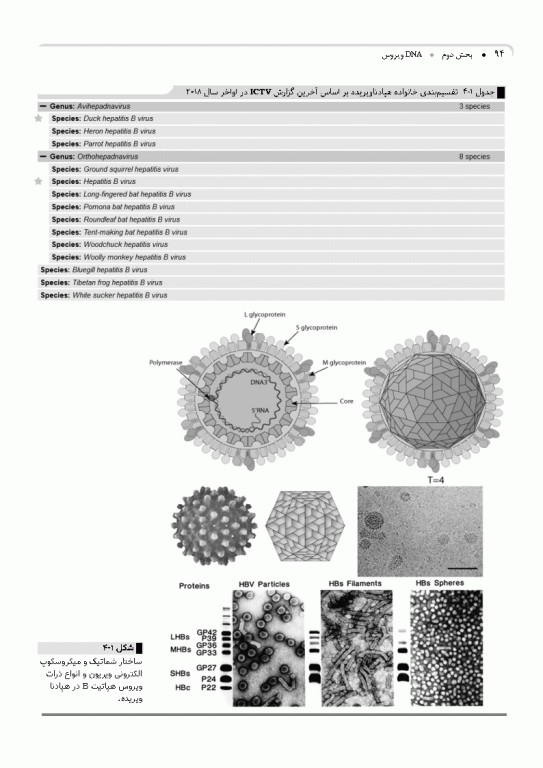 مرجع ویروس‌شناسی جانوری نوین به زبان ساده